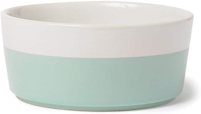Waggo Dipper Ceramic Dog Bowl for Small and Large Breeds - Heavyweight and Durable Pet Food and Water Dish Crock, Dishwasher Safe, Modern (Mint, Medium)