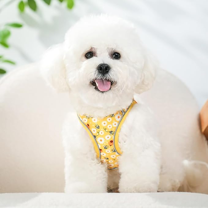 Step in Dog Harness and Leash Set, Flower Adjustable Easy Walk Puppy Harnesses, Soft Mesh Pet Vest Harness Small Size Dog Adjustable No Pull Dog Harness for Small Dogs and Cats(Bee, XS)