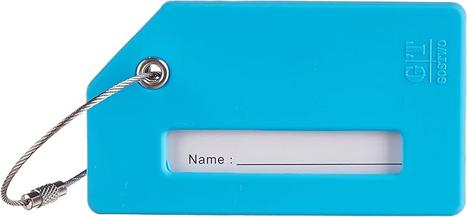 Gostwo 2 Pack Silicone Luggage Tags for Suitcases, 26 Initial Letter Baggage Labels Handbag School Bag Suitcase Instrument Tag with Stainless Steel Loop(Sky Blue)(Airplane)