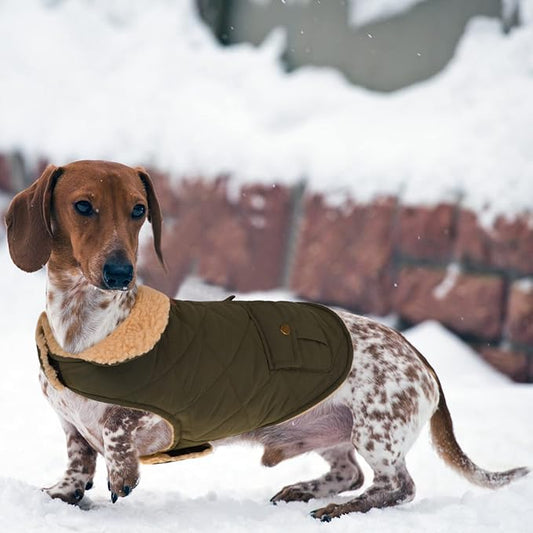 Queenmore Warm Dog Coat, Cold Weather Puffer Dog Jacket with Ultra Thick Plush Lining, Storage Pockets (Green, Large)