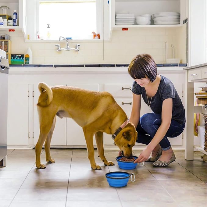 Kytely Large Collapsible Dog Bowls 2 Pack, 34oz Foldable Dog Travel Bowl, Portable Pet Water Food Bowl with Clasp, Pet Cat Feeding Cup Dish for Traveling, Walking, Hiking (Blue+Blue)
