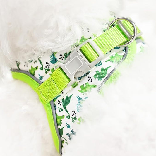 Step in Dog Harness and Leash Set, Flower Adjustable Easy Walk Puppy Harnesses, Soft Mesh Pet Vest Harness Small Size Dog Adjustable No Pull Dog Harness for Small Dogs and Cats(Dinosaur1, XXS)