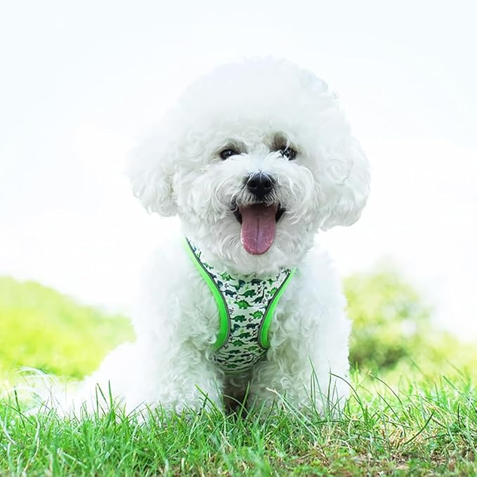 Step in Dog Harness and Leash Set, Flower Adjustable Easy Walk Puppy Harnesses, Soft Mesh Pet Vest Harness Small Size Dog Adjustable No Pull Dog Harness for Small Dogs and Cats(Dinosaur1, XXS)