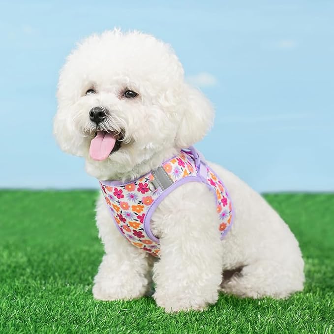 Step in Dog Harness and Leash Set, Flower Adjustable Easy Walk Puppy Harnesses, Soft Mesh No Pull Pet Vest Harness for Small Medium Dogs(Flower, M)
