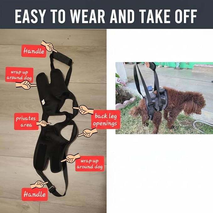 BARDIMIES Dog Lift Harness for Back Legs–Sturdy Dog Support Sling–Hip Sling Carrier for Large Medium Canine, Stair Helper for Aid Old Ligament Rehabilitation Pet, Grey-XL