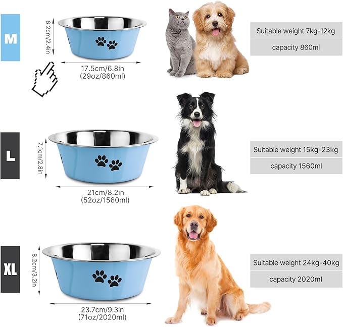 YUDANSI Dog Bowls 2 Pack Small Medium Dogs Feeding Food Water Bowl with Non-Slip Silicone Sole, Stainless Steel Dog Dishes Elevated Raised Pet Feeder (Blue, M(3.6 Cups)