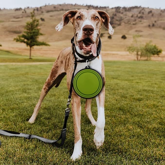 Collapsible Dog Bowl, Lightweight and Portable, Ideal for Hiking, Camping, and Outdoor Use