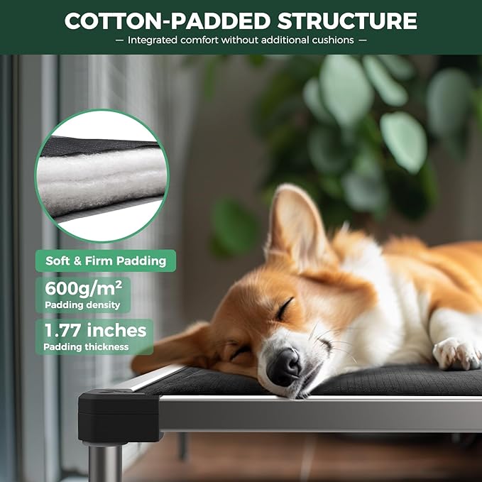 FXW TitanNest Chew-Proof Elevated Dog Bed, Raised Cot for Indoor/Outdoor/Camping Use, Durable & Washable Padded Pet Bed with Exclusive Cover for Toy Dogs, 23.0" L x 17.0" W x 4.5" H, Black
