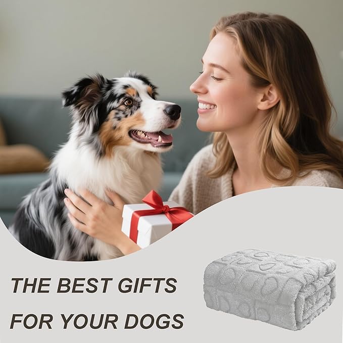 gogobunny Calming Plush Dog Cat Blanket 300GSM Coral Fleece, Ultra-Soft Machine Washable Pet Bedding for Small Medium Dogs Cats Puppies Kittens (Silver, 50x60)