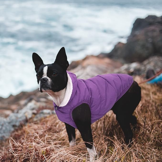Windproof Waterproof Dog Coat Fleece & Cotton Lined Warm Jacket, Cold Weather Pet Apparel Clothes Vest for Small to Large Dogs (L, Purple)