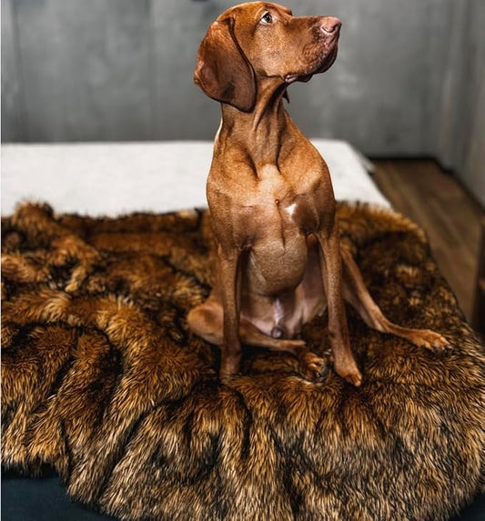 Waterproof Dog Blanket for Small, Medium & Large Dogs – Faux Fur Pet Throw for Couch, Sofa, Bed & Car – Soft, Washable, Stain-Resistant, Durable Cover - Brown 80" x 60"