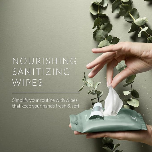 Noshinku Eucalyptus Hand Sanitizer Wipes, 3-Pack (45 Towelettes) โ Resealable Travel Wipes with Ethyl Alcohol, Aloe & Green Tea, Plant-Based Fiber, Essential Oil Scents, Cruelty-Free & No Dyes