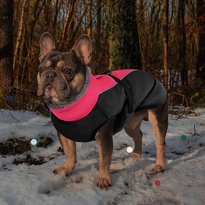 IECOii Extra Warm Dog Coat - Reflective, Adjustable Jacket with Buckle & Turtleneck for Cold Weather - Soft Winter Coat for Small to Extra Large Dogs