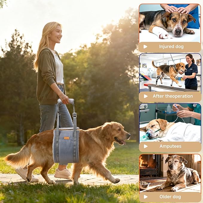 Dog Lift Harness for Medium Dog, Adjustable Dog Sling for Back Legs, Hip Support Harness to Help Lift Dogs Rear for Helps Senior, Injured, Disabled and After ACL Surgery Dogs - Medium, Grey