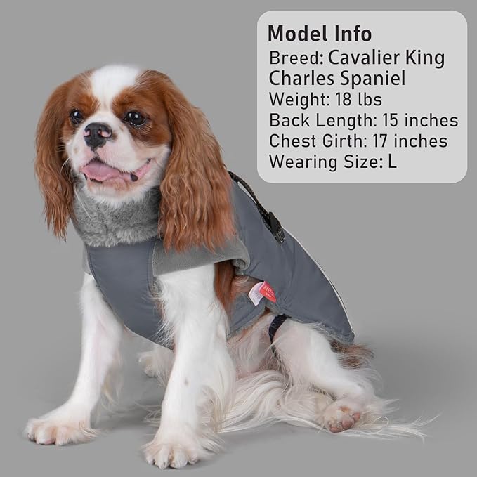 KYEESE Waterproof Dog Coat, Windproof Warm Winter Jacket with Leash Hole, Reflective Cold Weather Dog Coats for Small Dogs, Outdoor Pet Coat Cozy Puppy Jacket Thick Fleece Lined, Gray, Small