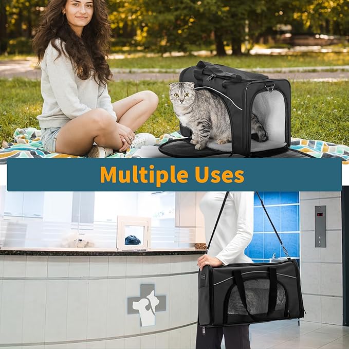 Petsfit Airline Approved Pet Carrier for Small Cats, 15x8x10 TSA Approved Carrier, with Removable Dual-Sided Padding (2-Way Placement) - Fits Under Most Airplane Seats, Escape Proof (Black)