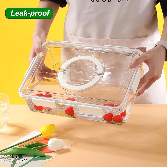 Taiuloo Divided Serving Tray with Airtight Lid and Handle, 4 Compartment Snackle Box Container, Portable Snack Platters, Clear Fridge Organizer & Food Storage for Veggie, Fruit, Charcuterie, Nuts