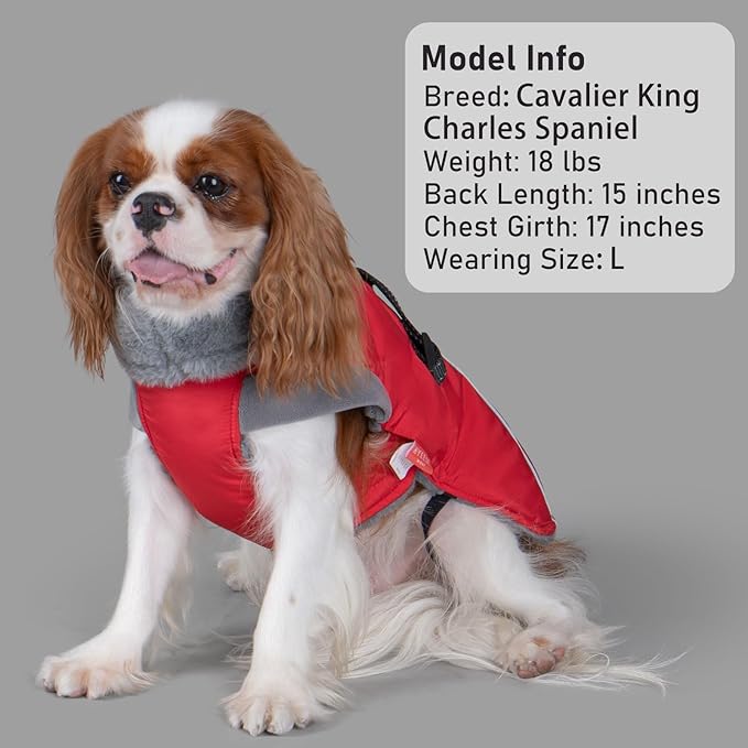KYEESE Waterproof Dog Coat, Windproof Warm Winter Jacket with Thick Fleece Lined, Turtleneck Dog Coats for Small Dogs with Leash Hole, Reflective Outdoor Cold Weather Coat, Red, Medium