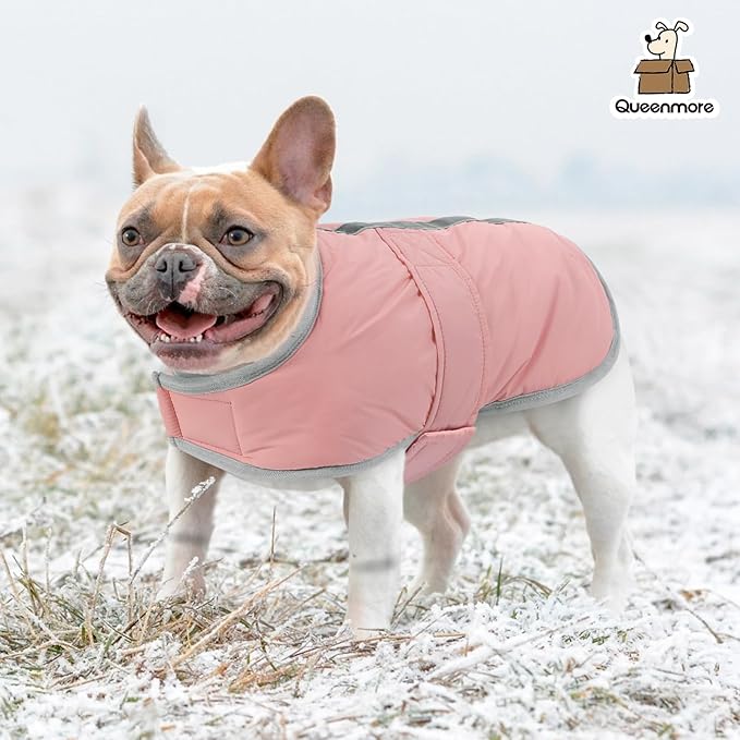 Queenmore Dog Winter Coat - Fleece Puffer Dog Down Vest, Cold Weather Pet Jacket for Small, Medium and Large Dogs (Light Pink, XS)