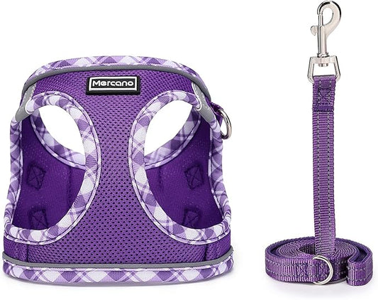 Mercano Soft Mesh Dog Harness and Leash Set, No-Chock Step-in Reflective Breathable Lightweight Easy Walk Vest Harnesses with Safety Buckle for Small Dogs, Cats (XXS, Purple)