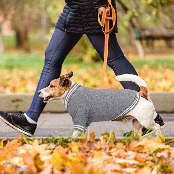 Dog Sweaters for Small Dogs, Brushed Fleece Dog Sweater Baseball Jacket Pet Clothes Soft Warm Sweatshirt Puppy Sweater Boy Girl Pet(Gray-S)