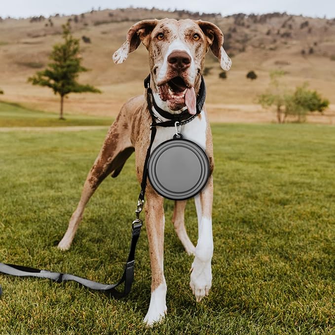 Collapsible Dog Bowl, Lightweight and Portable, Ideal for Travel, Hiking, Camping, and Everyday Use