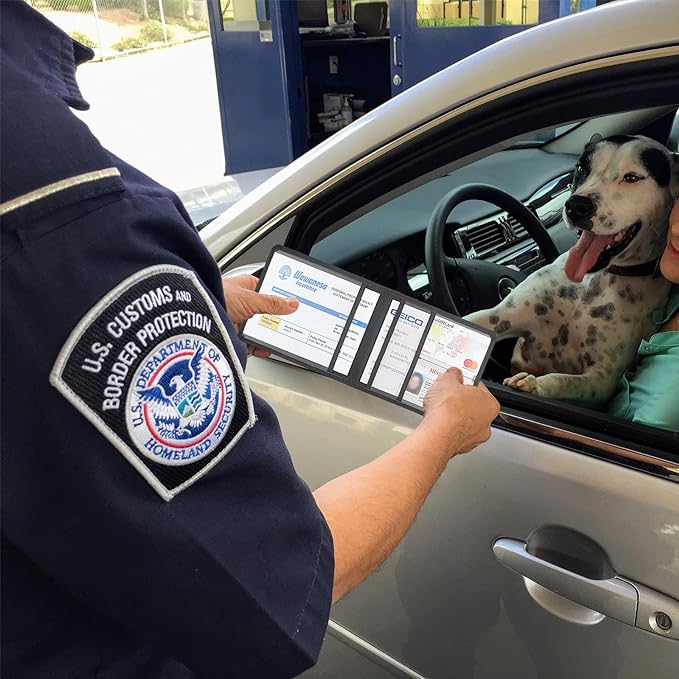 Car Registration and Insurance Holder, Leather Registration and Insurance Card Holder, Vehicle Glove Box Organizer - For Documents, Cards, License (Black)