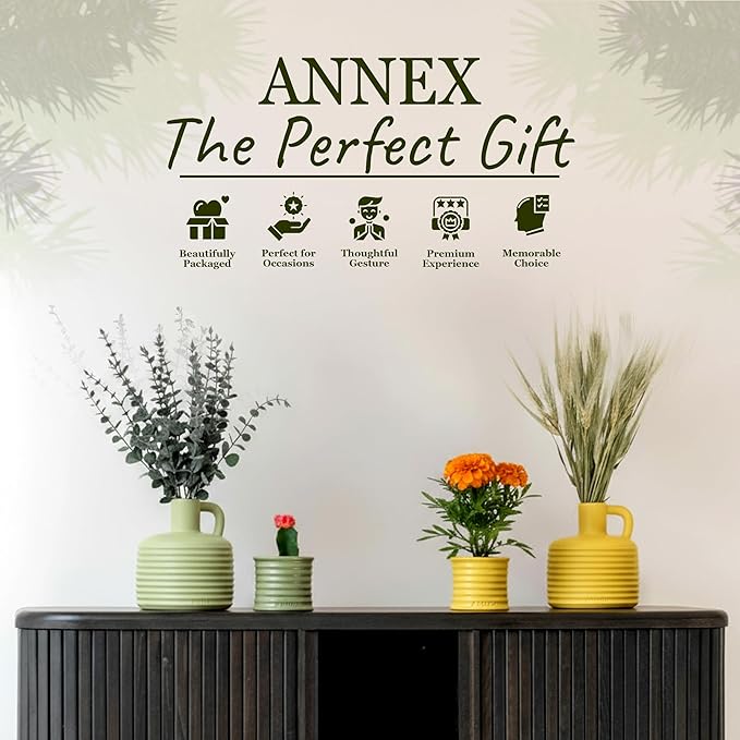 Scented Luxury Candles Outdoor Mosquito Bug Repellent Ceramic Jars, Soy Wax | The Green Life, Large Natural Candle - Green Melon & Peppermint | Non Toxic, 2 Wicks, Reusable Jar