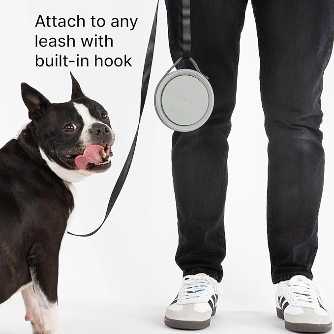 Nomad Small Collapsible Dog Bowl - 2 Cup Food-Safe Silicone Travel Bowl for Dogs, Portable & Sturdy, Food/Water, Dishwasher Safe - Grey