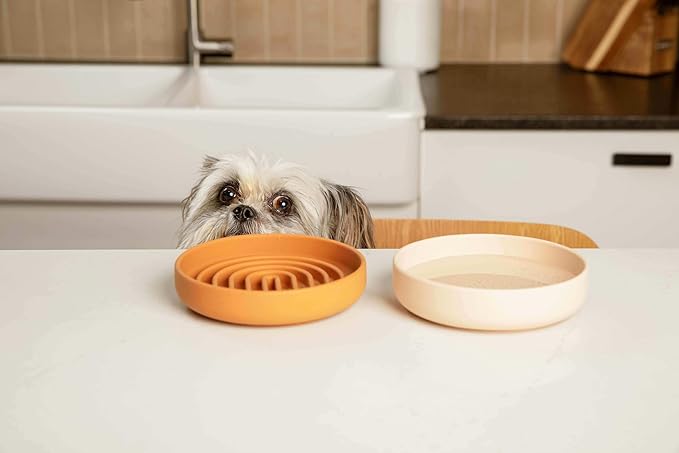 Should We Go? Dog Water Bowl - The Perfect Dish No-Spill, Less Mess Non-Tippable Water & Food Bowl, Pure Silicone with Suction Cup, Fits 2 Cups 6” Across x 1.25” Tall, Ideal for All Pets, Small-Ocean