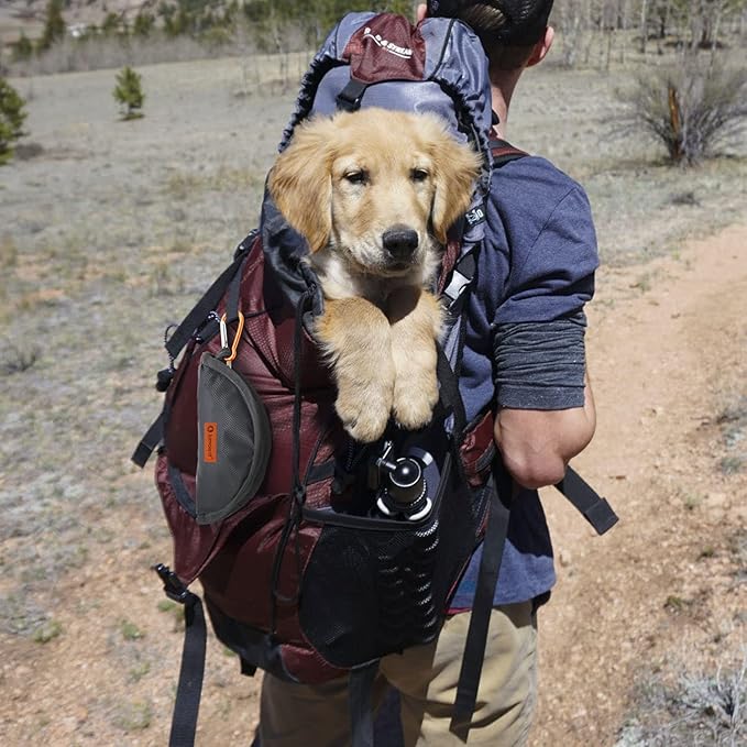 LumoLeaf Collapsible Dog Travel Bowl, 8 Cups Large Lightweight Foldable Bowl, Water and Food Bowls for Pets Dogs Cats with Zipper