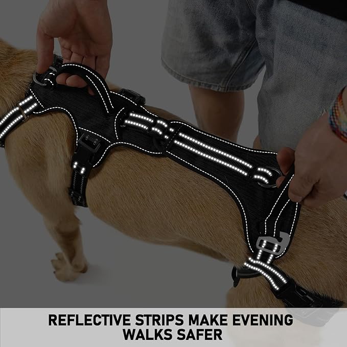 COODEO Mobility Dog Lift Harness, Support Sling & Walking Sling for Dogs, Pet Rear Leg Rehabilitation Support Vest, Dog Carrier for Senior Dogs with Joint Injuries, Arthritis, Up Stair (Black, L)