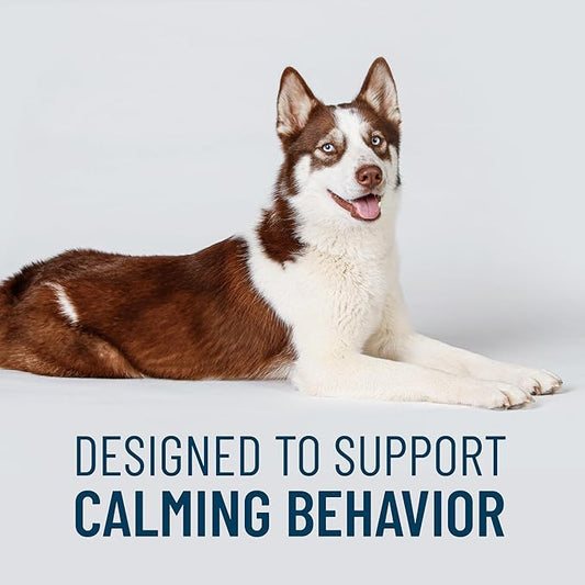 Nutramax Solliquin Calming Behavioral Health Supplement for Large Dogs - with L-Theanine, Magnolia/Phellodendron, and Whey Protein Concentrate, 75 Soft Chews