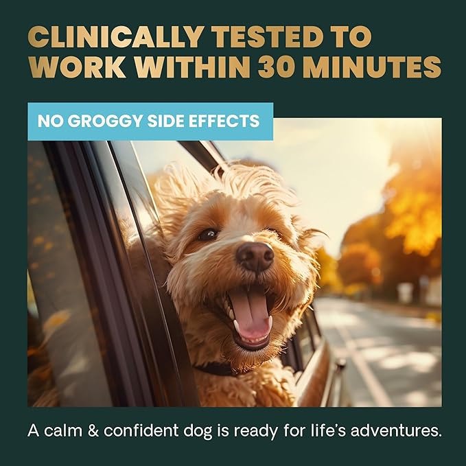 VetriScience Calm & Confident Chews, Composure Clinically Tested Anxiety and Calming Chews for Dogs, Reduce Stress, Ideal for Thunderstorms, Fireworks and Travel, Peanut Butter, 60 Count