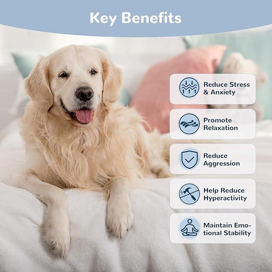 Calming Chews for Dogs, Dog Calming Chews to Help Reduce Stress, Dog Anxiety Relief Soft Chews for Fireworks, Storms, Thunder, Barking, Separation, 200 Count