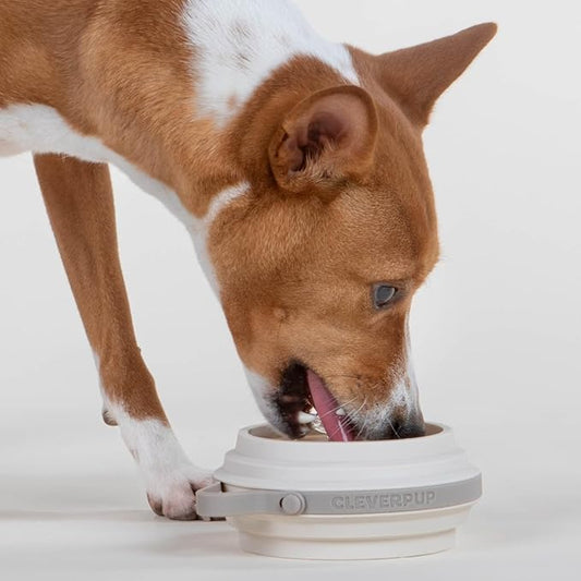 Nomad Small Collapsible Dog Bowl - 2 Cup Food-Safe Silicone Travel Bowl for Dogs, Portable & Sturdy, Food/Water, Dishwasher Safe - Sand