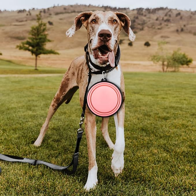 Collapsible Dog Bowls-2 Pack Large Size for Large/Medium Dogs, Pet Travel Water Bowl, Dogs Cat Portable Water Bowl, Dog Pet Feeding Watering Dish Outdoor Hiking Parking Traveling with 2 Carabiners