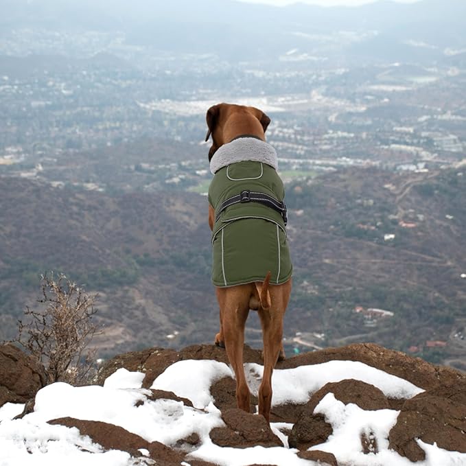 Lelepet Warm Dog Coat Waterproof Dog Jacket for Large Dogs Reflective Fleece Vest with Adjustable Buckle Hook & Loop Windproof Cold Weather Coats for Small Medium Large Dogs, Army Green, L