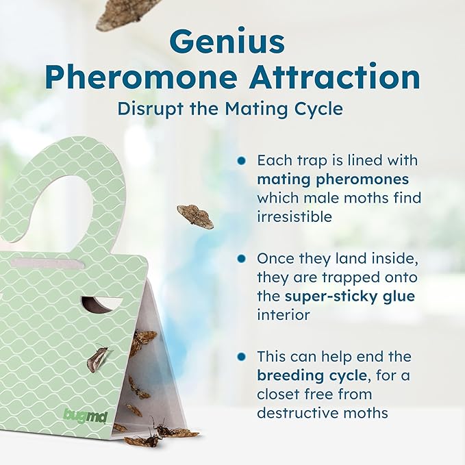 BugMD Clothes & Pantry Moth Traps (6 Count) – Sticky Glue Pheromone-Based Repellent for Closets, Cabinets & Wardrobes – Non-Toxic - Green