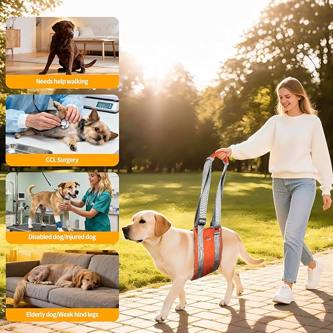 ExploreU Dog Sling for Back Legs Dog Lift Harness Magic Tape Hip Support Harness Rehab to Help Senior,Injured,Arthritis,Hip Dysplasia,Weak Rear Leg,Disabled,After ACL/CCL Surgery,TPLO Dogs (Brown, XL)