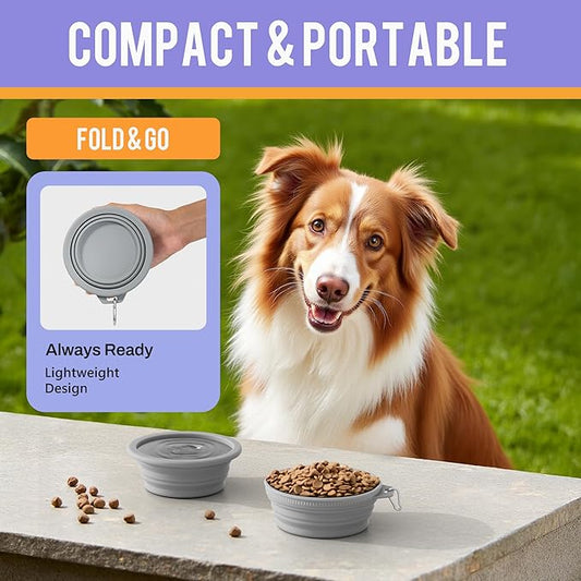 Li&Zhao Collapsible Dog Bowls - Silicone Travel Dog Bowl with Cover Lids Portable Expandable Pet Bowls Portable Water Bow for Cats Feeding Traveling Camping Hiking Walking(Gray)