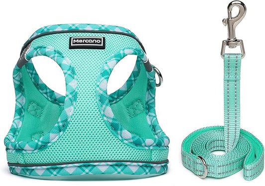 Mercano Soft Mesh Dog Harness and Leash Set, No-Chock Step-in Reflective Breathable Lightweight Easy Walk Vest Harnesses with Safety Buckle for Small Dogs, Cats (Light Green, M)