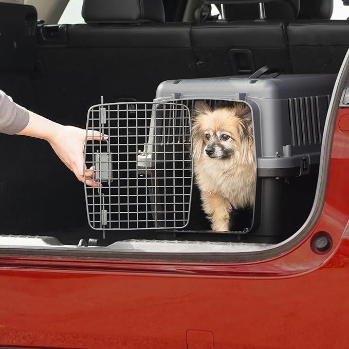 SportPet Airline Approved Wire Door Travel Dog Crate, Durable Plastic Pet Travel Kennel, Secure Latch, Collapsible, Food Bowls & Accessories, Fits Dogs up to 21" L & 13" H - Small - Gray/Black