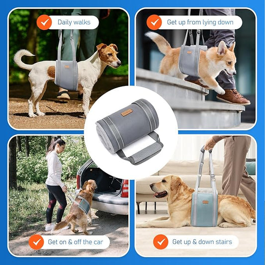 Big Dog Lift Harness, Adjustable Dog Sling for Back Legs, Hip Support Harness to Help Lift Dogs Rear for Helps Senior, Injured, Disabled and After ACL Surgery Dogs - X-Large, Grey