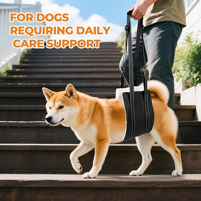 Dog Lift Harness, Adjustable Comfortable Dog Sling with Handle for Large Dog Knee Brace for Torn ACL Hind Leg, Weak Rear Legs, Helps Senior, Injured, Disabled,L