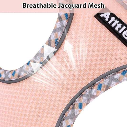 AIITLE XXS Dog Harness & Leash Set - Breathable Reflective No-Choke Small Dog Harness for Teacup Puppies, Indoor/Outdoor Use - Boston Terrier, Maltese, Chihuahua (Pink, XXS)