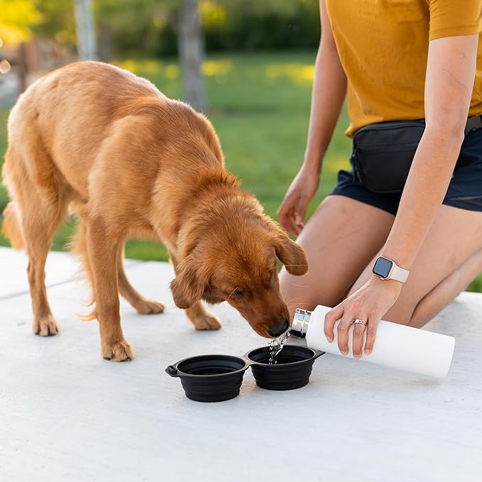 Pup Culture Dual Collapsible Dog Bowls | Silicone Travel Water Bowl for Dogs | Food Grade, No Plastic Rim, Portable Dog Bowl for Food and Water - Easy to Clean | BPA Free and Safe for Your Pup-Green