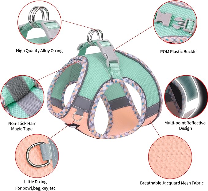 AIITLE XXS Dog Harness & Leash Set - Breathable Reflective No-Choke Small Dog Harness for Teacup Puppies, Indoor/Outdoor Use - Boston Terrier, Maltese, Chihuahua (Turquoise-Pink, XXS)