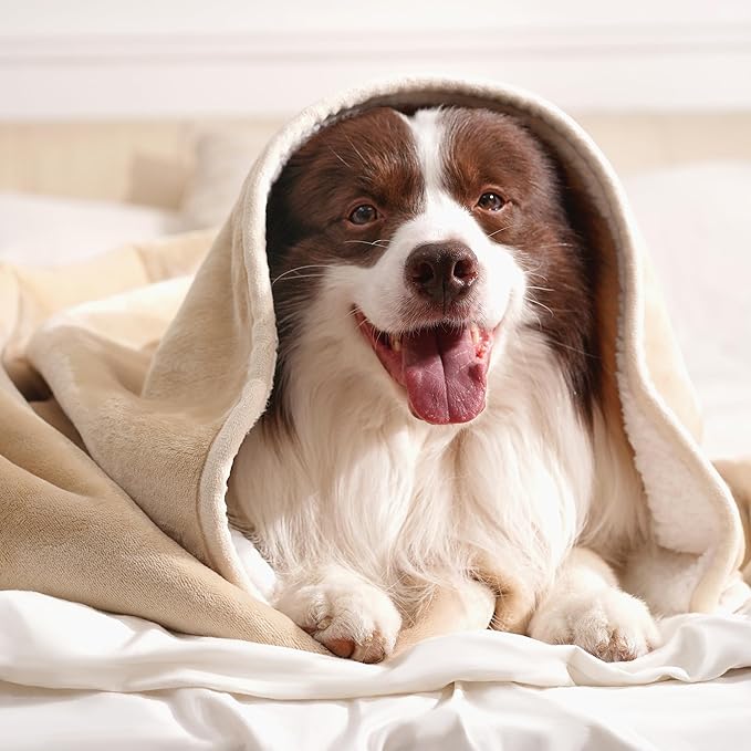 gogobunny Waterproof Pet Blanket for Small Dogs and Cats, Reversible Sherpa Fleece Soft Plush Throw for Couch Protection, Washable Furniture Protector (Beige, 30x30 inches)