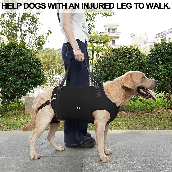 Coodeo Dog Lift Harness, Pet Support & Rehabilitation Sling Lift Adjustable Padded Breathable Straps for Old, Disabled, Joint Injuries, Arthritis, Loss of Stability Dogs Walk (Black, L)